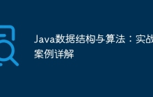 Java数据结构与算法：实战案例详解
