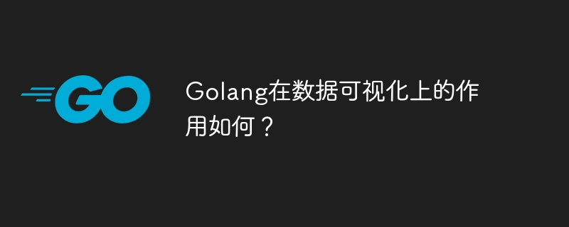 데이터 시각화에 Golang이 얼마나 유용합니까?