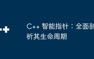 C++ 스마트 포인터: 수명 주기에 대한 포괄적인 분석