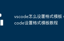 vscode怎么设置格式模板 vscode设置格式模板教程