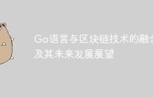 Go语言与区块链技术的融合及其未来发展展望