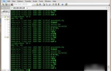 securecrt中文乱码怎么办 securecrt中文乱码解决以及使用教程
