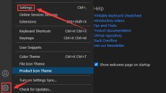 vscode怎么打开保护套 vscode打开保护套的方法