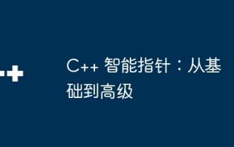 C++ 智能指针:从基础到高级