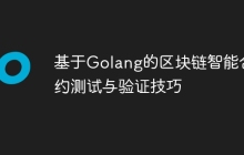 基于Golang的区块链智能合约测试与验证技巧