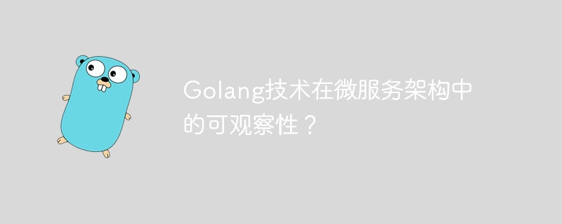 Golang技术在微服务架构中的可观察性？