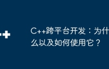 C++跨平台开发：为什么以及如何使用它？