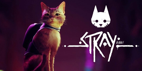 stray保险箱密码大全