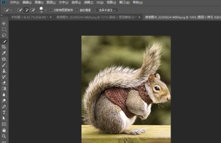 photoshop怎么快速抠动物毛发 PS抠取动物毛发的实用技巧
