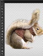 photoshop怎么快速抠动物毛发 PS抠取动物毛发的实用技巧