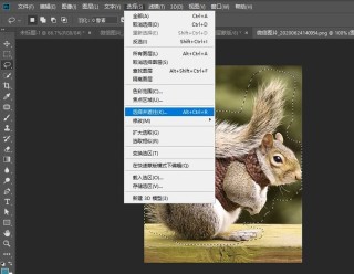 photoshop怎么快速抠动物毛发 PS抠取动物毛发的实用技巧