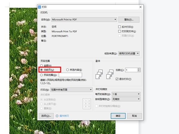 wps怎么打印固定文档页 wps打印固定文档页方法
