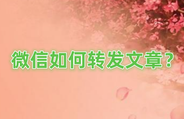微信怎么转发文章
