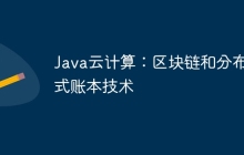 Java云计算：区块链和分布式账本技术