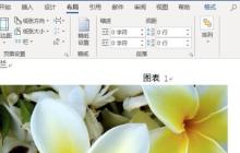 word图片怎么设置统一大小 word图片设置统一大小方法