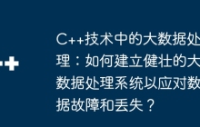 C++技术中的大数据处理：如何建立健壮的大数据处理系统以应对数据故障和丢失？