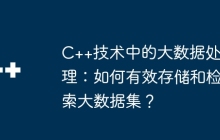 C++技术中的大数据处理：如何有效存储和检索大数据集？