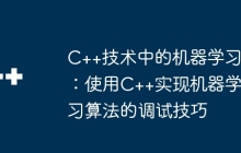 C++技术中的机器学习：使用C++实现机器学习算法的调试技巧