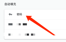 谷歌浏览器Google Chrome For Mac如何移除密码-移除教程