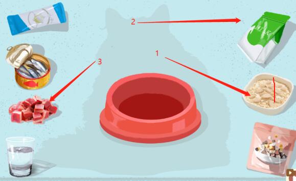 小小收纳猫猫御膳攻略