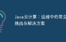 Java云计算：运维中的常见挑战与解决方案