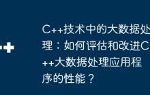 C++技术中的大数据处理：如何评估和改进C++大数据处理应用程序的性能？