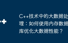 C++技术中的大数据处理：如何使用内存数据库优化大数据性能？