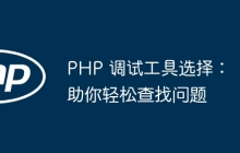 PHP 调试工具选择：助你轻松查找问题