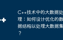 C++技术中的大数据处理：如何设计优化的数据结构以处理大数据集？