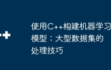 使用C++构建机器学习模型：大型数据集的处理技巧