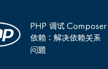 PHP 调试 Composer 依赖：解决依赖关系问题