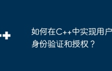 如何在C++中实现用户身份验证和授权？