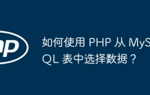 如何使用 PHP 从 MySQL 表中选择数据？