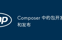 Composer 中的包开发和发布