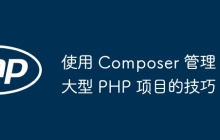 使用 Composer 管理大型 PHP 项目的技巧