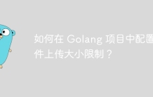 如何在 Golang 项目中配置文件上传大小限制？