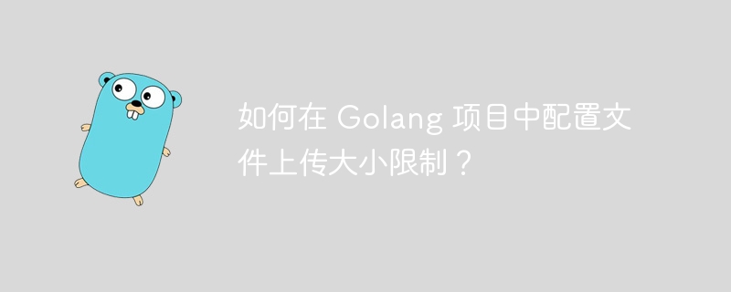 如何在 Golang 项目中配置文件上传大小限制？