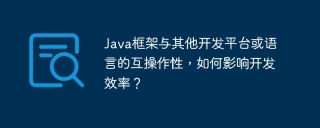 Java框架与其他开发平台或语言的互操作性，如何影响开发效率？