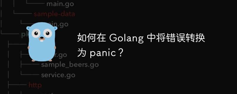 如何在 Golang 中将错误转换为 panic？