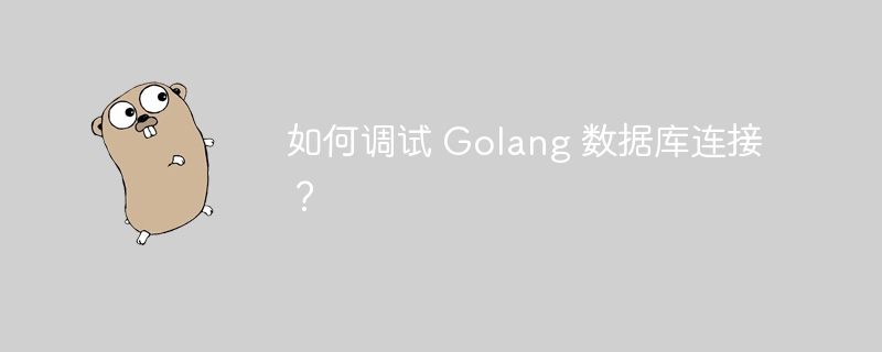 如何调试 Golang 数据库连接？