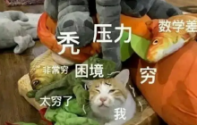 真正的解压利器 《出发吧麦芬》的治愈之旅