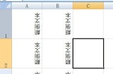 Excel字体怎么倒过来_两个方法搞定