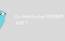 Go WebSocket 如何使用 TLS 加密？