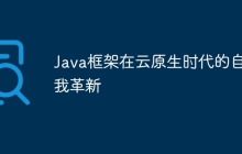 Java框架在云原生时代的自我革新