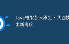 Java框架与云原生，共创技术新高度