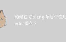 如何在 Golang 项目中使用 Redis 缓存？
