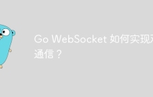 Go WebSocket 如何实现双向通信？