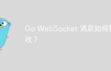 Go WebSocket 消息如何接收？
