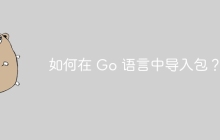 如何在 Go 语言中导入包？