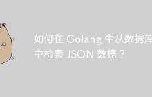 如何在 Golang 中从数据库中检索 JSON 数据？